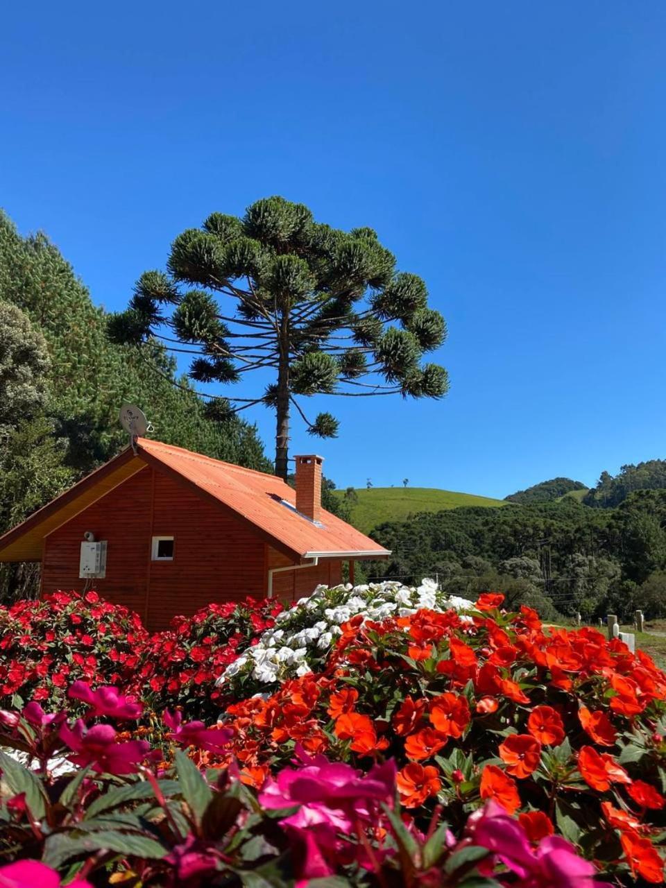 Chales Canto Da Serra Monte Verde  Buitenkant foto